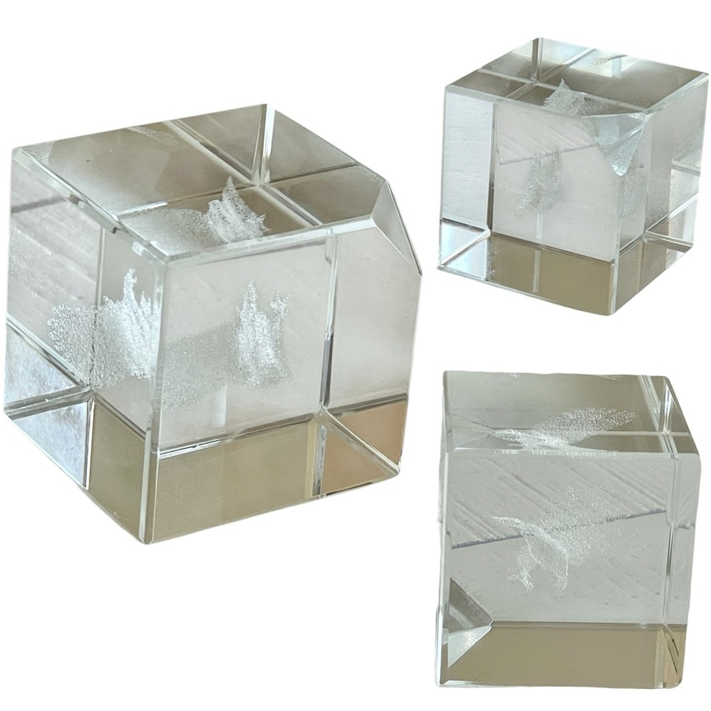 Clear Glass 3D Laser Etched Bird Solid Cube Paperweight Home or Office Decor